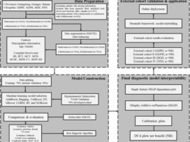 Development and validation of an interpretable risk prediction model for the early classification of thalassemia