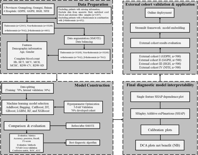 Development and validation of an interpretable risk prediction model for the early classification of thalassemia