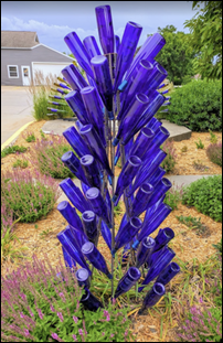 EPtalk by Dr. Jayne 6/19/25