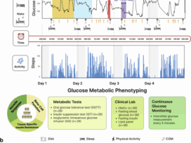 High-resolution lifestyle profiling and metabolic subphenotypes of type 2 diabetes