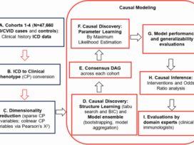 Large scale causal modeling to identify adults at risk for combined and common variable immunodeficiencies