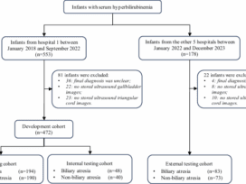 Multimodal model for the diagnosis of biliary atresia based on sonographic images and clinical parameters