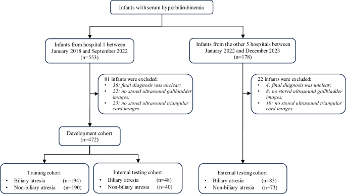 Multimodal model for the diagnosis of biliary atresia based on sonographic images and clinical parameters