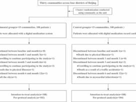 Randomized clinical trial of a digital medication system to enhance adherence in patients with severe mental disorders