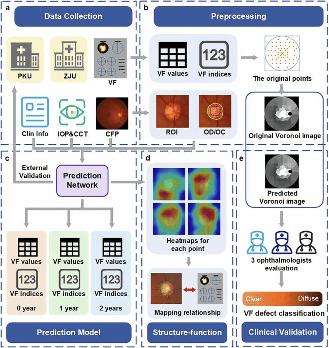 Interpretable longitudinal glaucoma visual field estimation deep learning system from fundus images and clinical narratives