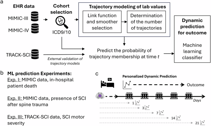 Modeling trajectories of routine blood tests as dynamic biomarkers for outcome in spinal cord injury