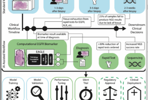 New AI Model Predicts Cancer Mutations from Routine Pathology Slides, Streamlining Treatment Decisions