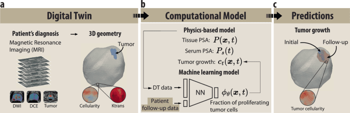 Physics-informed machine learning digital twin for reconstructing prostate cancer tumor growth via PSA tests
