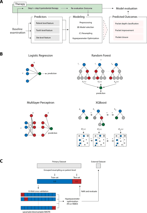 Predictive modeling for step II therapy response in periodontitis - model development and validation