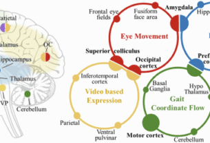 AI-assisted multi-modal information for the screening of depression: a systematic review and meta-analysis