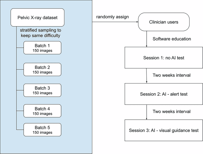 Comparative analysis of AI support levels in clinical interpretation of traumatic pelvic radiographs