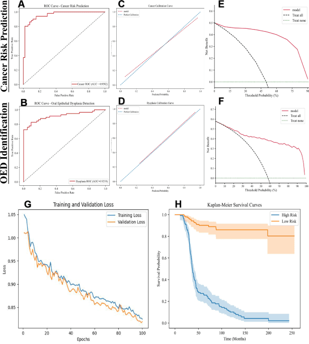 Next-generation AI framework for comprehensive oral leukoplakia evaluation and management