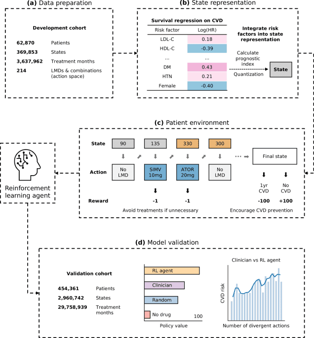 Optimizing long term disease prevention with reinforcement learning: a framework for precision lipid control