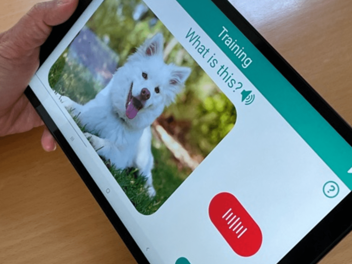 Outcomes of an App-Based Intervention to Target Naming Among Individuals With Poststroke Aphasia: Virtual Randomized Controlled Trial