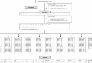 Personalised & optimised therapy (POT) algorithm using five cognitive and behavioural skills for subthreshold depression