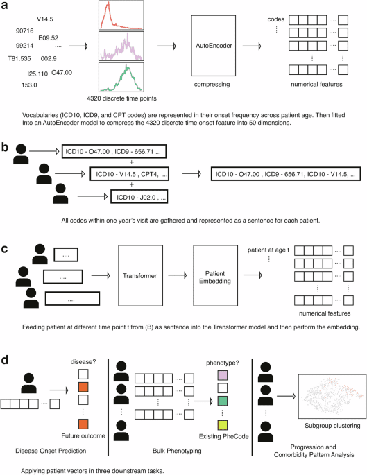 Transformer patient embedding using electronic health records enables patient stratification and progression analysis