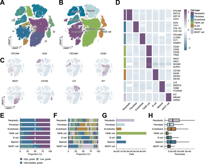 Machine learning analysis reveals tumor heterogeneity and stromal-immune niches in breast cancer