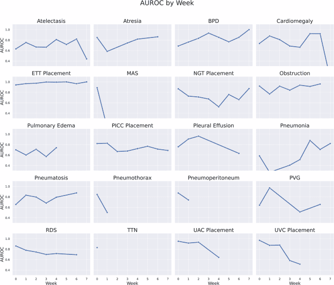 NeoCLIP: a self-supervised foundation model for the interpretation of neonatal radiographs