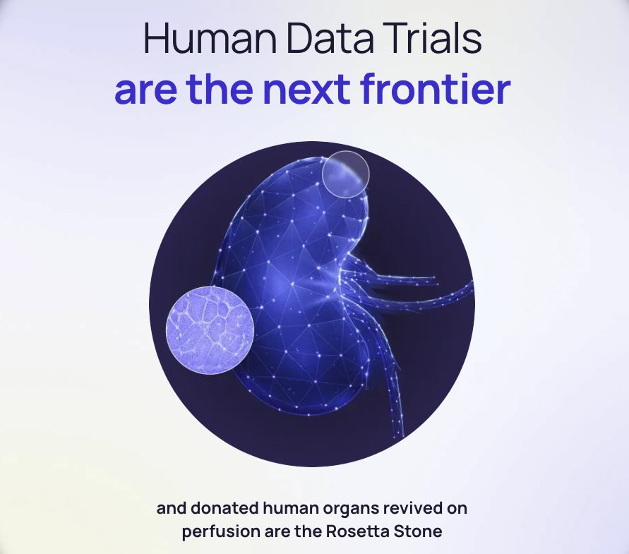 Revalia Bio Launches ‘Human Data Trials’ with $14.5M to Transform Drug Development