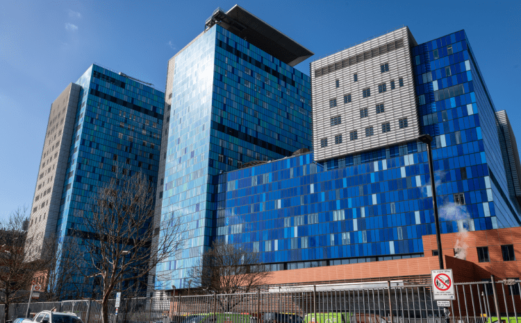 BadgerNet maternity system to launch at Barts Health in 2026