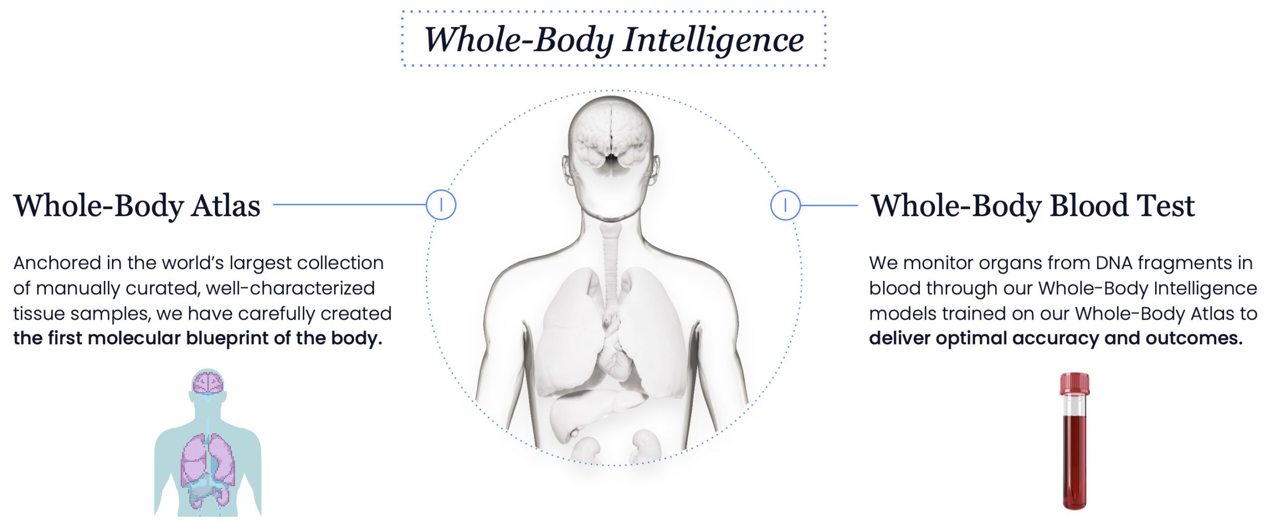 Curve Biosciences Secures $40M to Launch Whole-Body Intelligence Platform