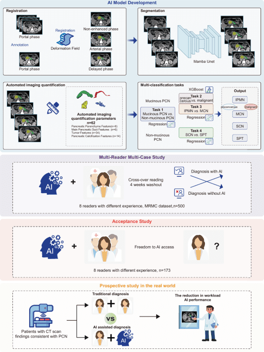 Deep learning CT model for stratified diagnosis of pancreatic cystic neoplasms: multicenter development, validation, and real-world clinical impact