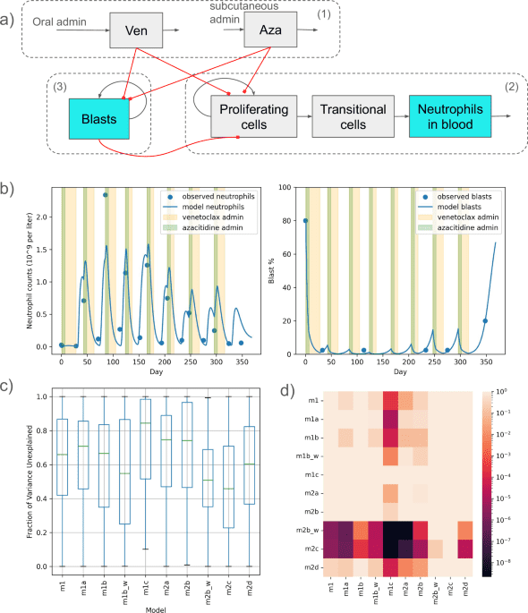 Digital twin models for predicting venetoclax and azacitidine-induced neutropenia in patients with acute myeloid leukemia