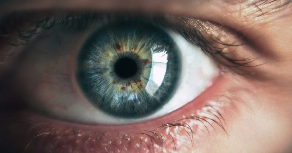 Korean researchers develop contact lens for retinal test