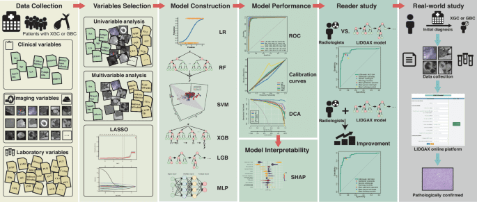 Machine learning model for differentiating xanthogranulomatous cholecystitis and gallbladder cancer in multicenter largescale study