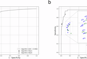 Planet-wide performance of a skin disease AI algorithm validated in Korea