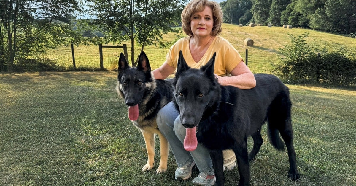 Robotics help Ballad Health gain pharmacy efficiency amid workforce shortages