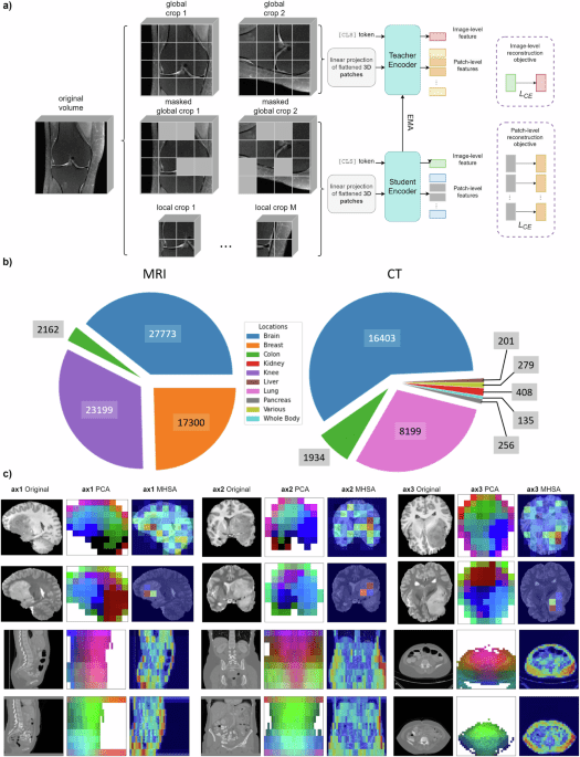 A generalizable 3D framework and model for self-supervised learning in medical imaging