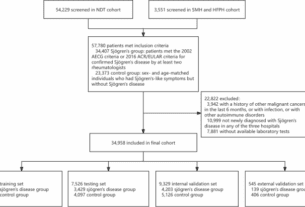 A multi-criterion feature integration framework for accurate diagnosis of Sjögren’s disease using routine laboratory tests