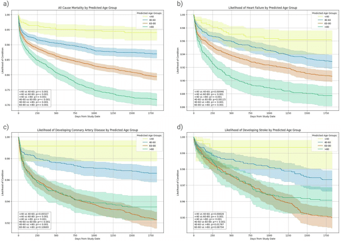 Artificial intelligence prediction of age from echocardiography as a marker for cardiovascular disease