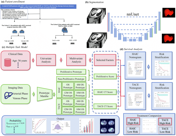 Deep learning model for assessing survival benefits in hepatocellular carcinoma patients undergoing intra-arterial therapies based on proliferative subtype