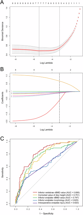 Development of a LASSO dynamic prediction system for interbody cage subsidence following OLIF surgery