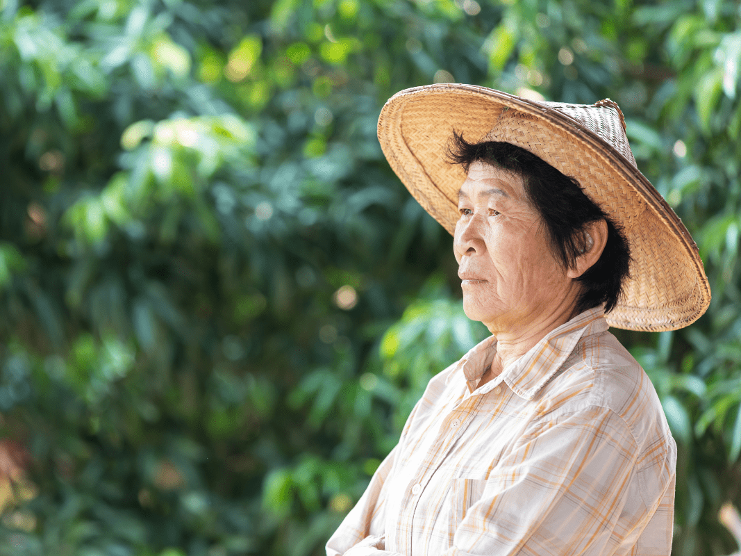 Effects of Heat Adaptation Behaviors on Resting Heart Rate Response to Summer Temperatures in Older Adults: Wearable Device Panel Study