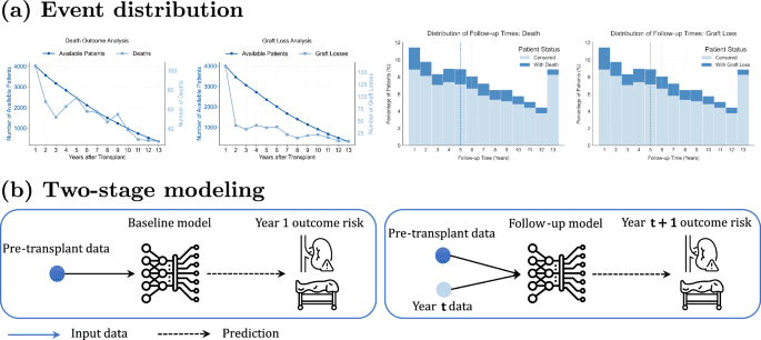 Enhancing post-kidney transplant prognostication: an interpretable machine learning approach for longitudinal outcome prediction