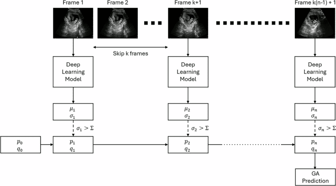 Fetal gestational age estimation using artificial intelligence on non-targeted ultrasound images and video