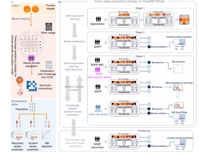 From retina to brain: how deep learning closes the gap in silent stroke screening