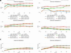 GlioSurv: interpretable transformer for multimodal, individualized survival prediction in diffuse glioma