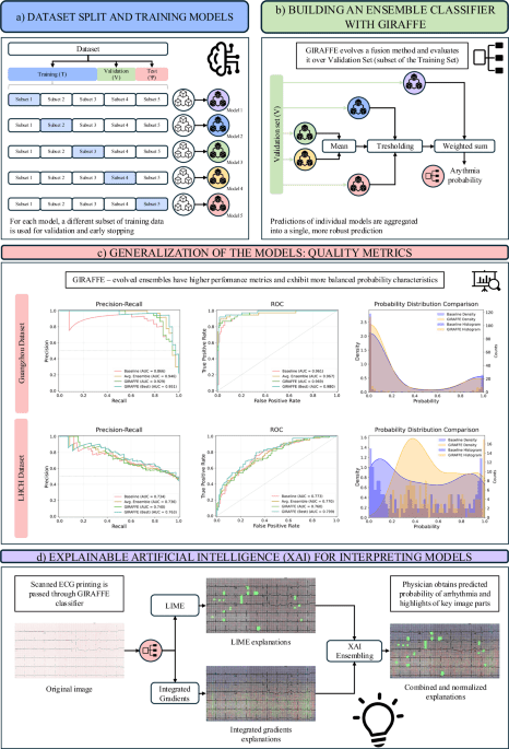 Interpretable arrhythmia detection in ECG scans using deep learning ensembles: a genetic programming approach