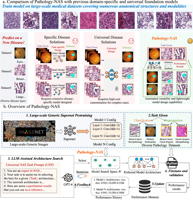 Large language models driven neural architecture search for universal and lightweight disease diagnosis on histopathology slide images