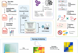 Predictive modeling & mechanistic validation of synergistic pimodivir combinations for anti-influenza therapy via PB2cap affinity boost