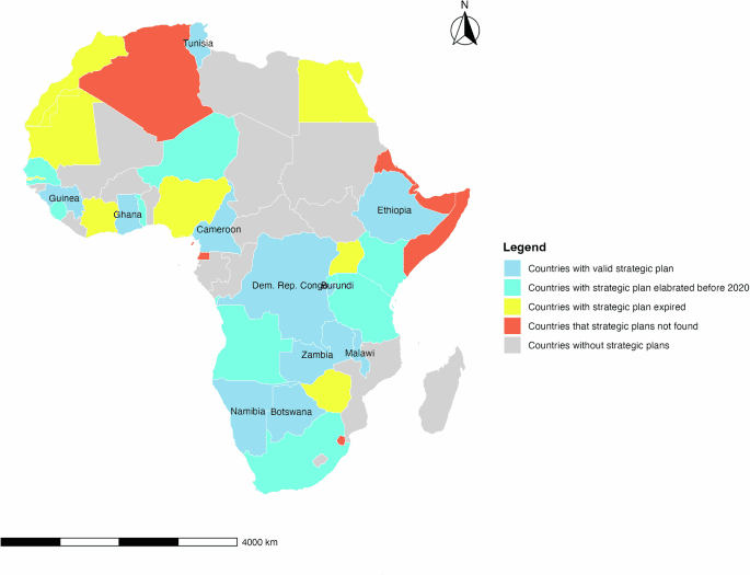 African digital health strategic plans analysis: key weaknesses in contextualization, intervention focus, and technological foresight