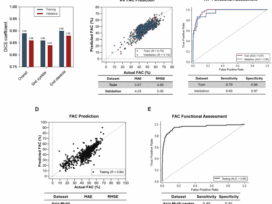 AI learning for pediatric right ventricular assessment: development and validation across multiple centers
