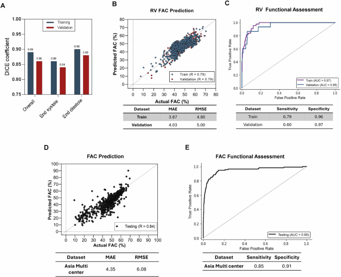 AI learning for pediatric right ventricular assessment: development and validation across multiple centers