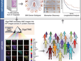 Healthcare AI News 12/10/25