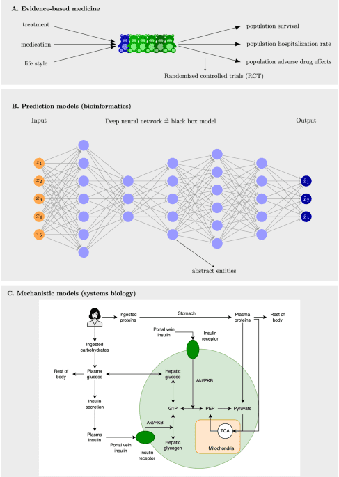 The role of digital twins in P4 medicine: A paradigm for modern healthcare