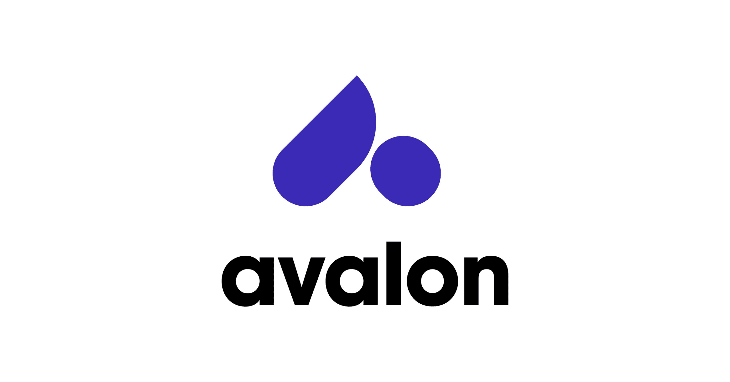 Avalon Healthcare Solutions Lands Strategic Investment from Francisco Partners and WindRose
